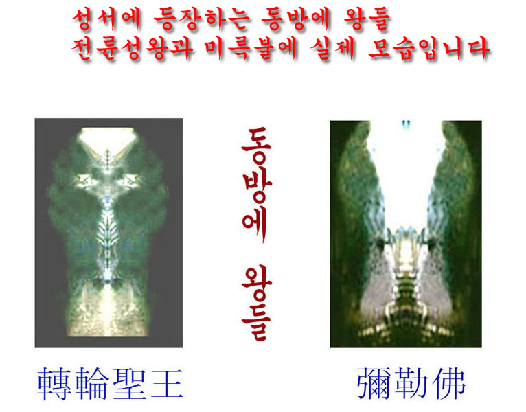 bae2e8cfb24cab6a8d8841c610d394dc_1500311386_4853.jpg